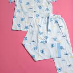 SET T-SHIRTS AND PANTS